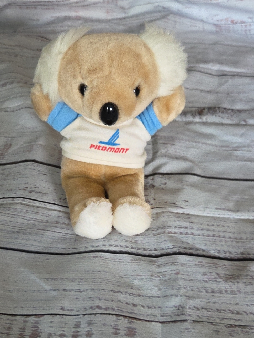 Piedmont Koala Plush in Cream and Light Brown